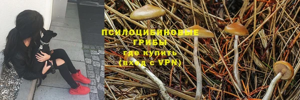 mix Алексеевка