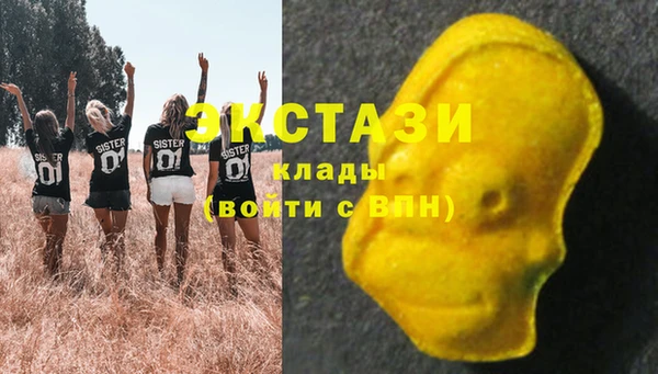 МДПВ Рославль