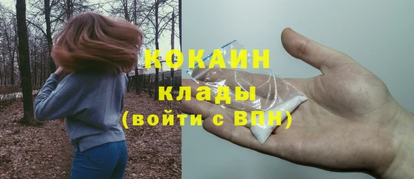 дживик Валдай
