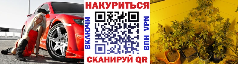 Шишки марихуана THC 21%  что такое наркотик  МЕГА как войти  Лесной 
